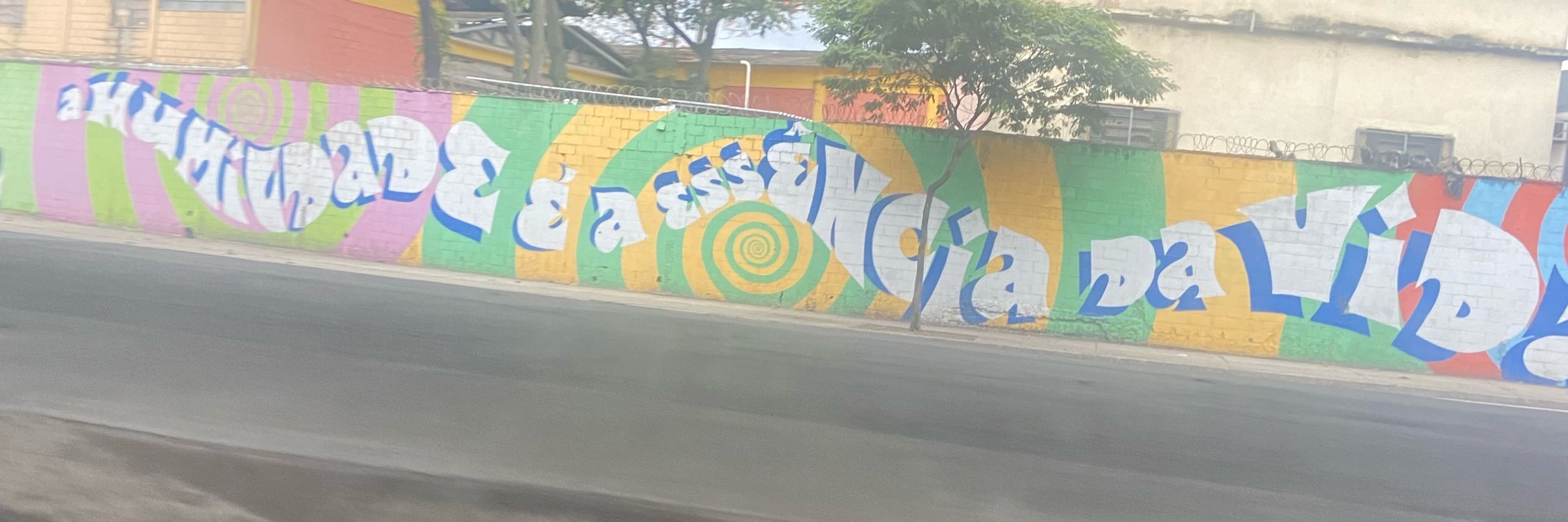 João né vidah 