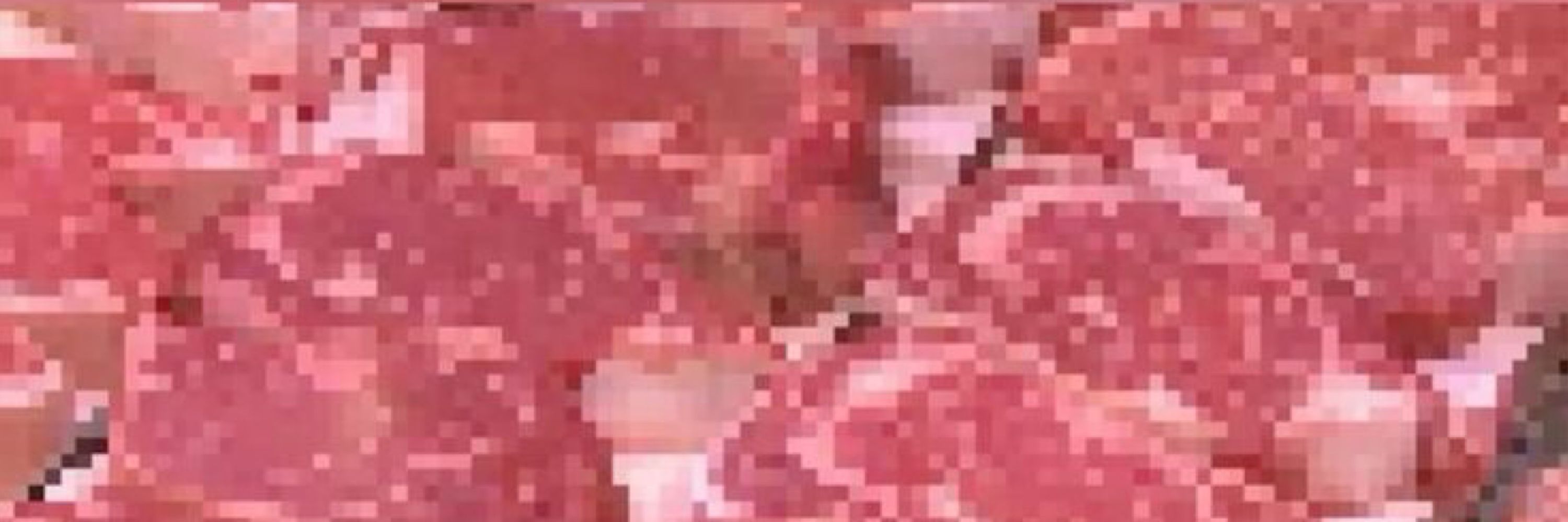 meatkyoot