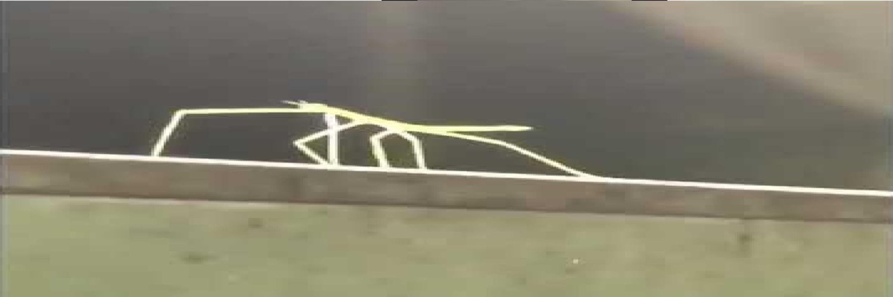 Ani Cobweb