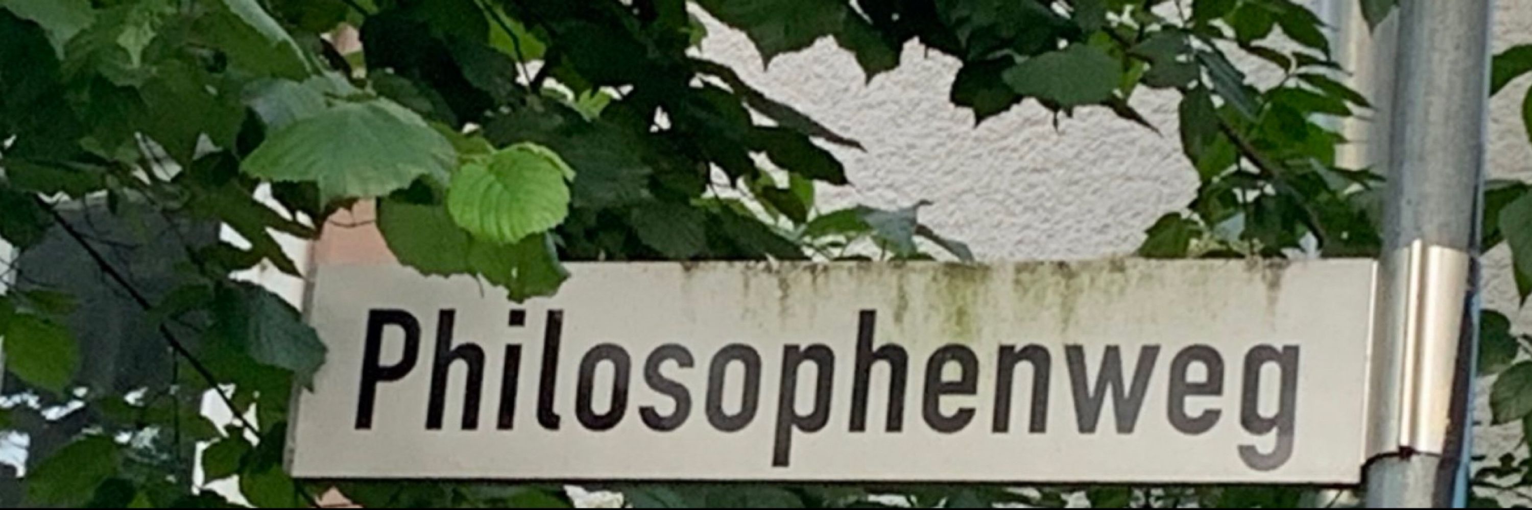 Bluethenzweig