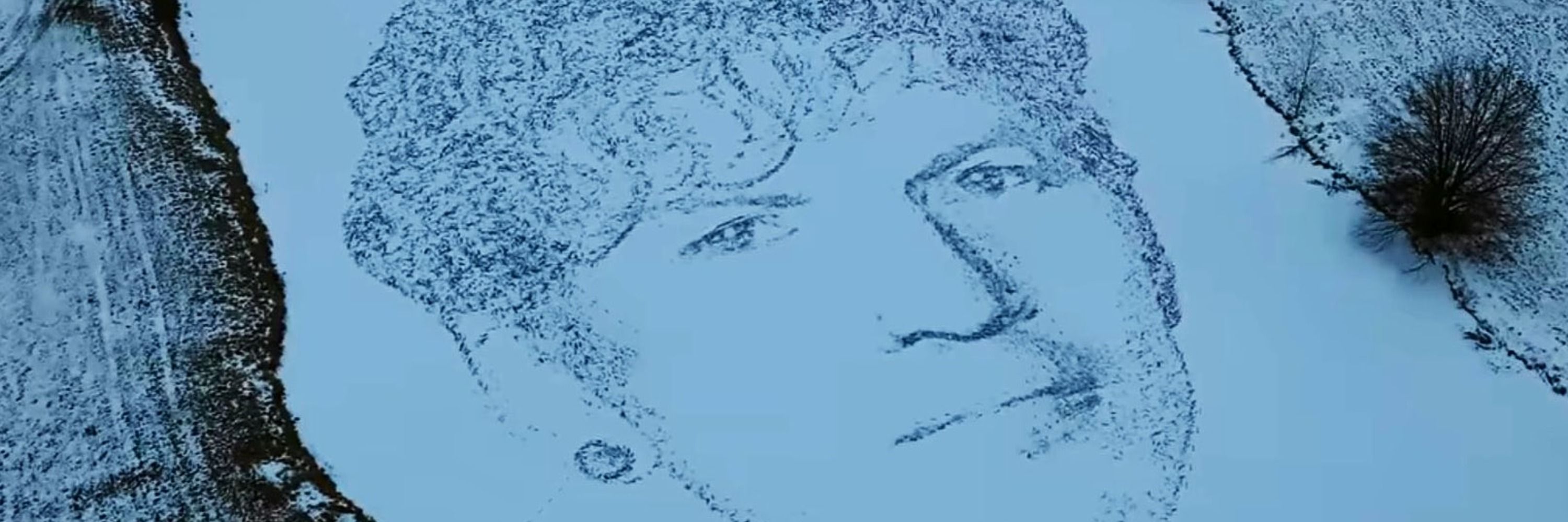 Caio Gregoracci