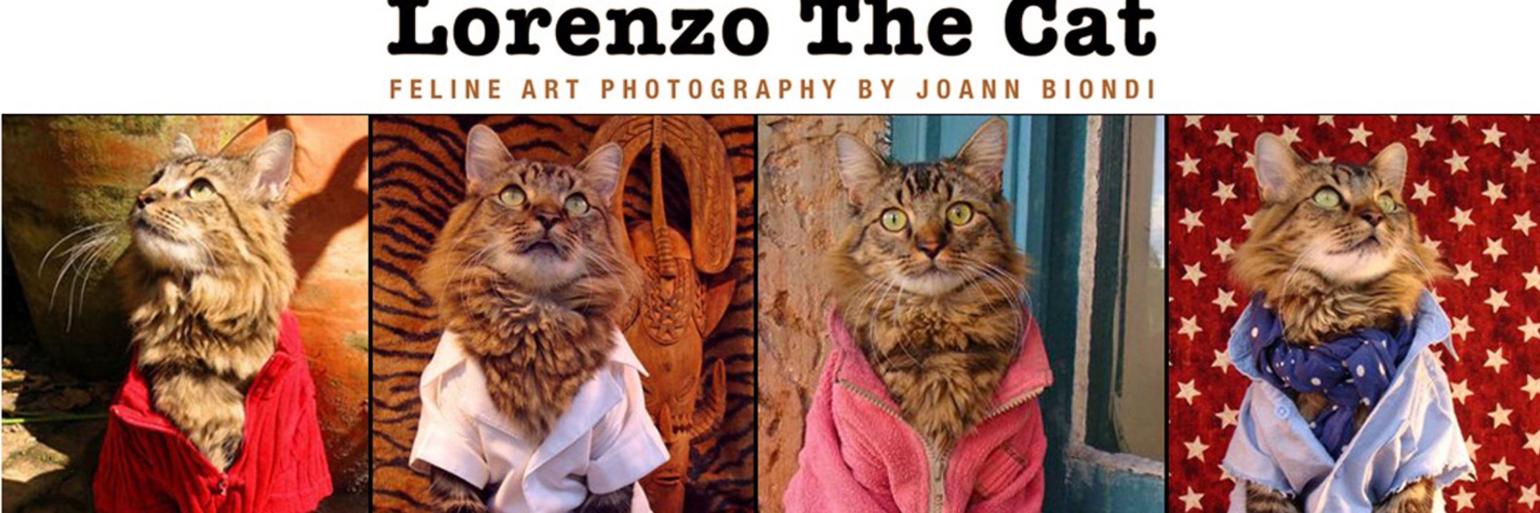 The Spirit of Lorenzo the Cat