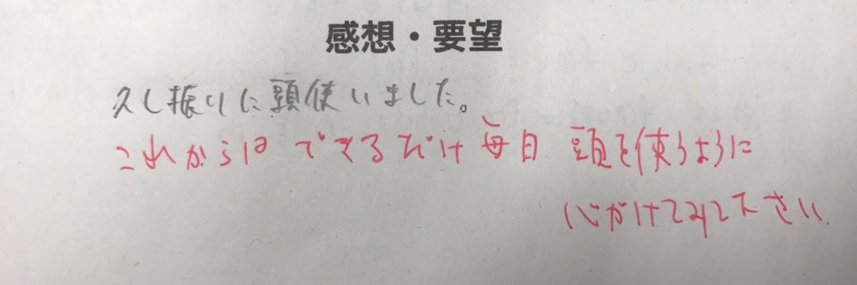 イーロン・アンチ