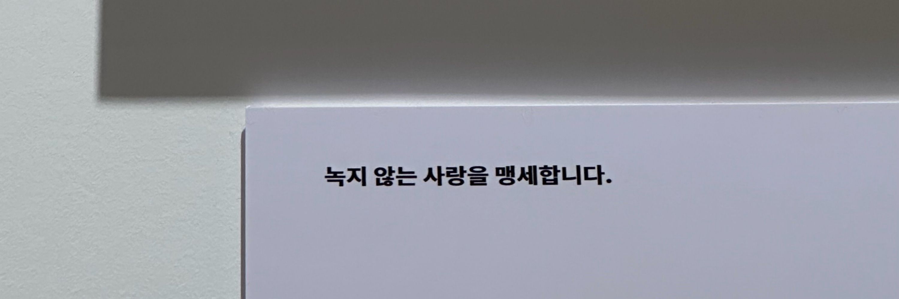 여름🍧