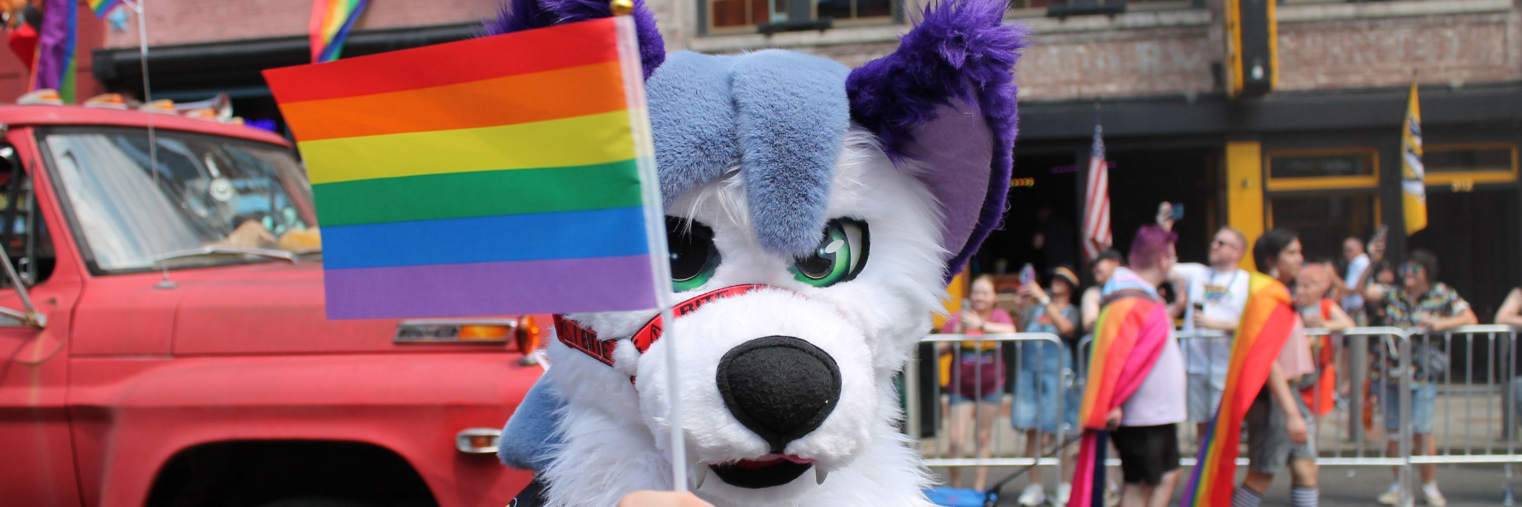 MurfreesFurs — Tennessee Furry Fandom