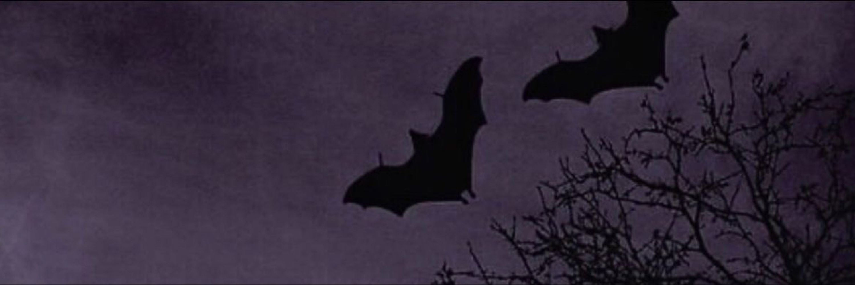 Martie 🦇
