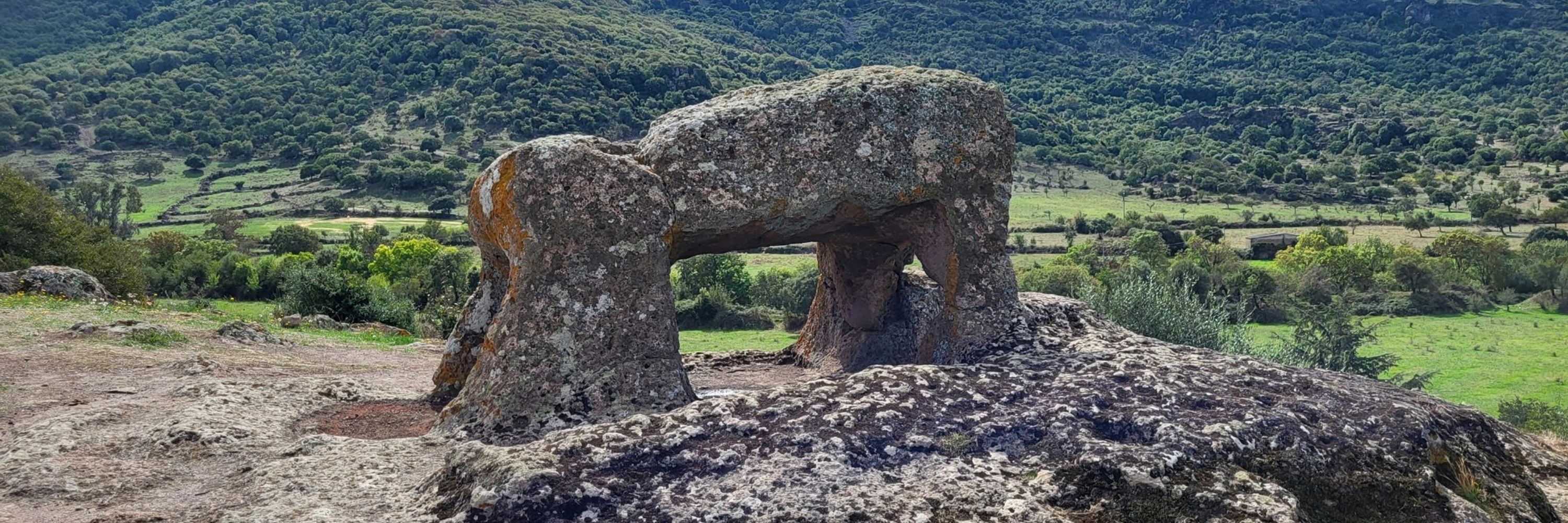 SAULIUlivieru