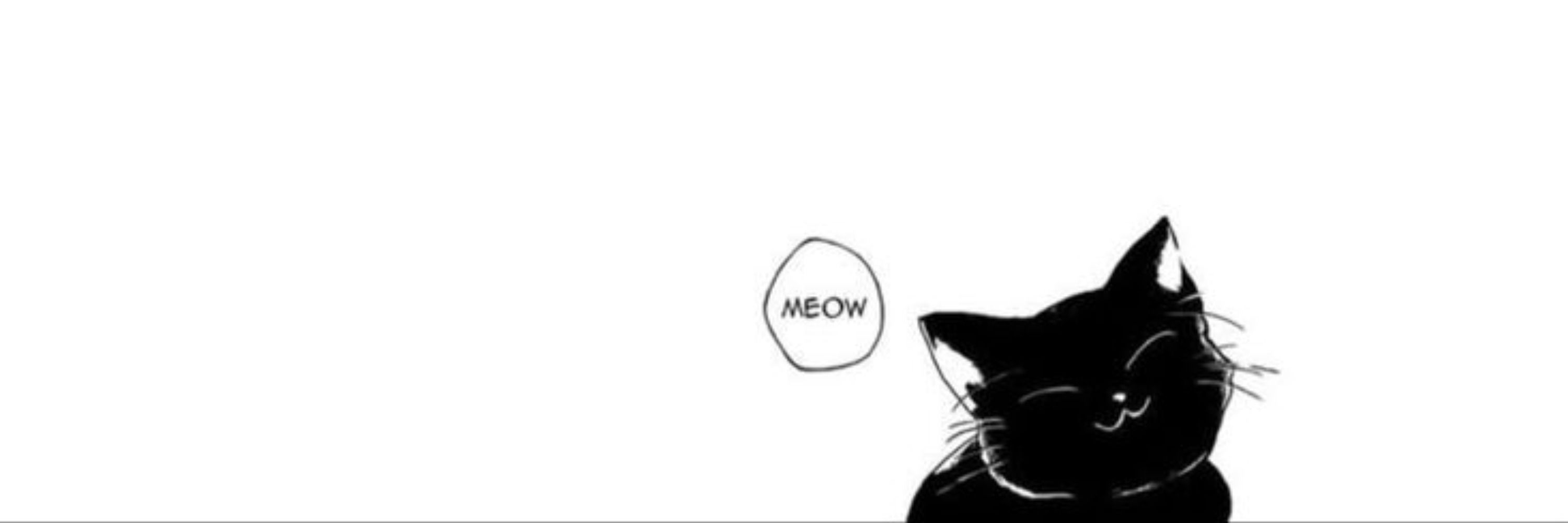 JL 🐈‍⬛
