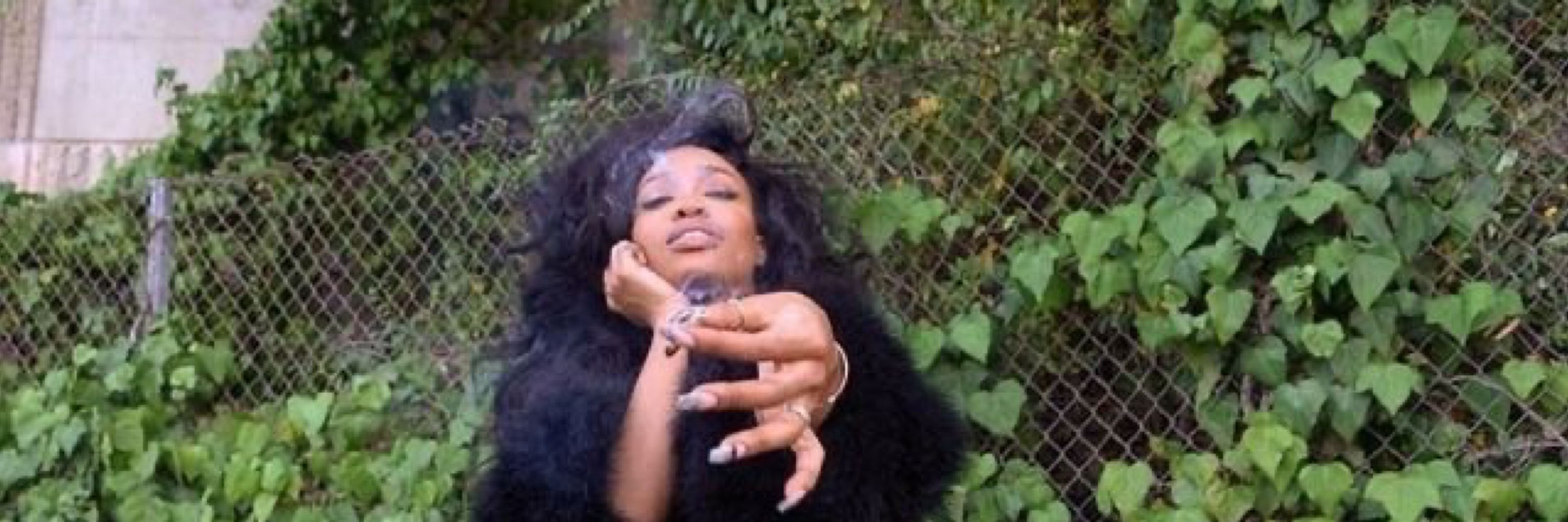 Megan Thee Stallion’s Bellyring