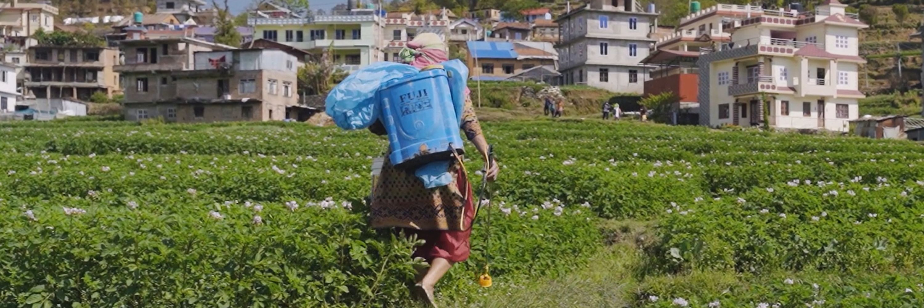 Centre for Pesticide Suicide Prevention