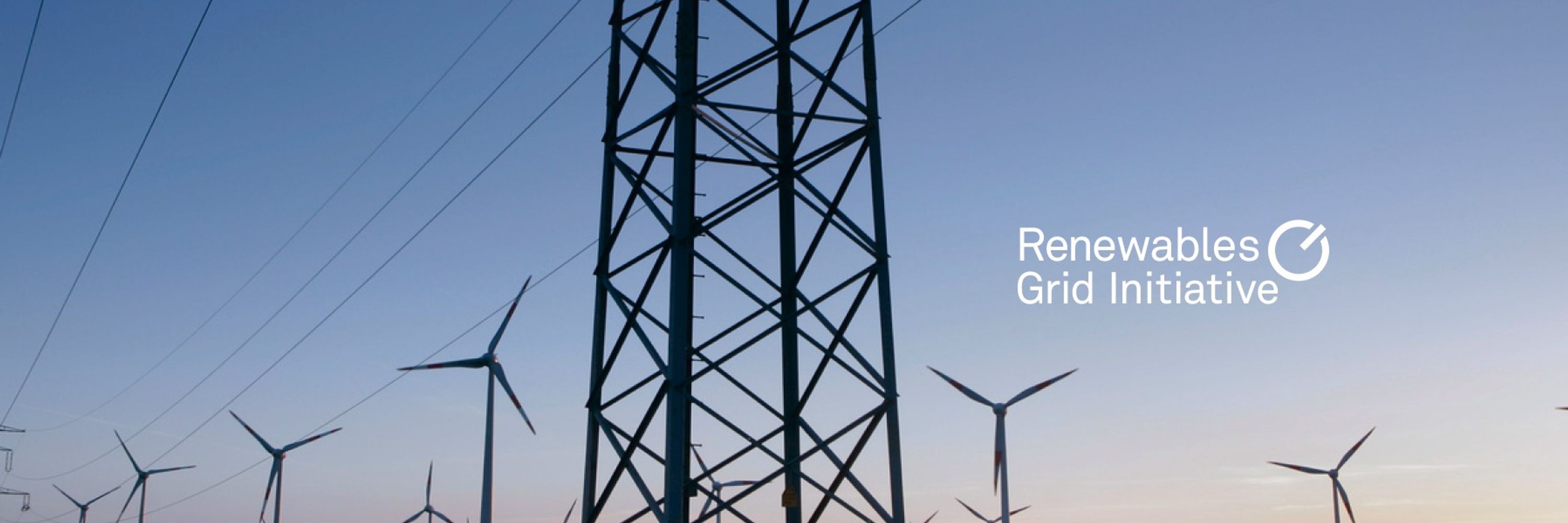 Renewables Grid Initiative