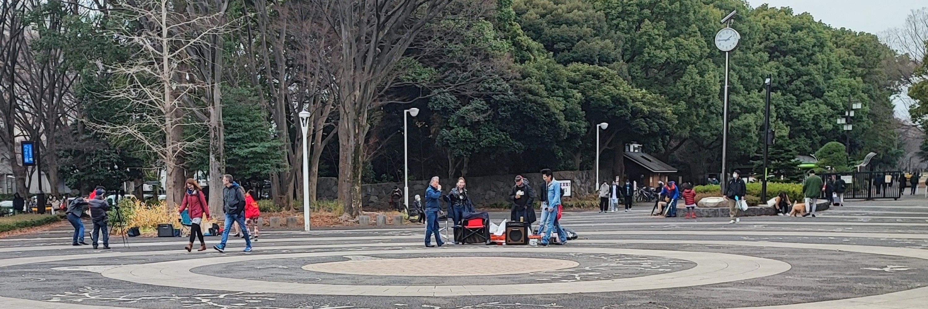 レタス