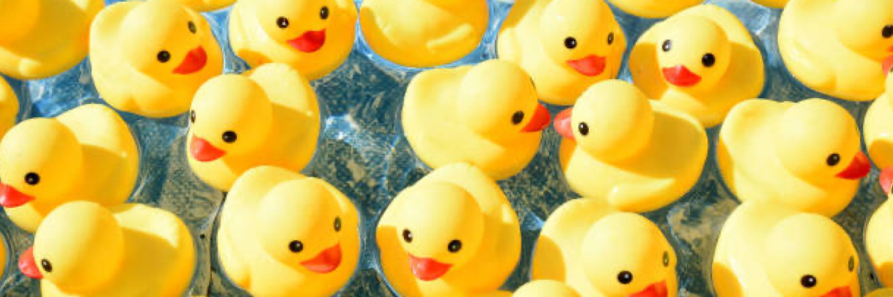 Veritas 🦚🛁