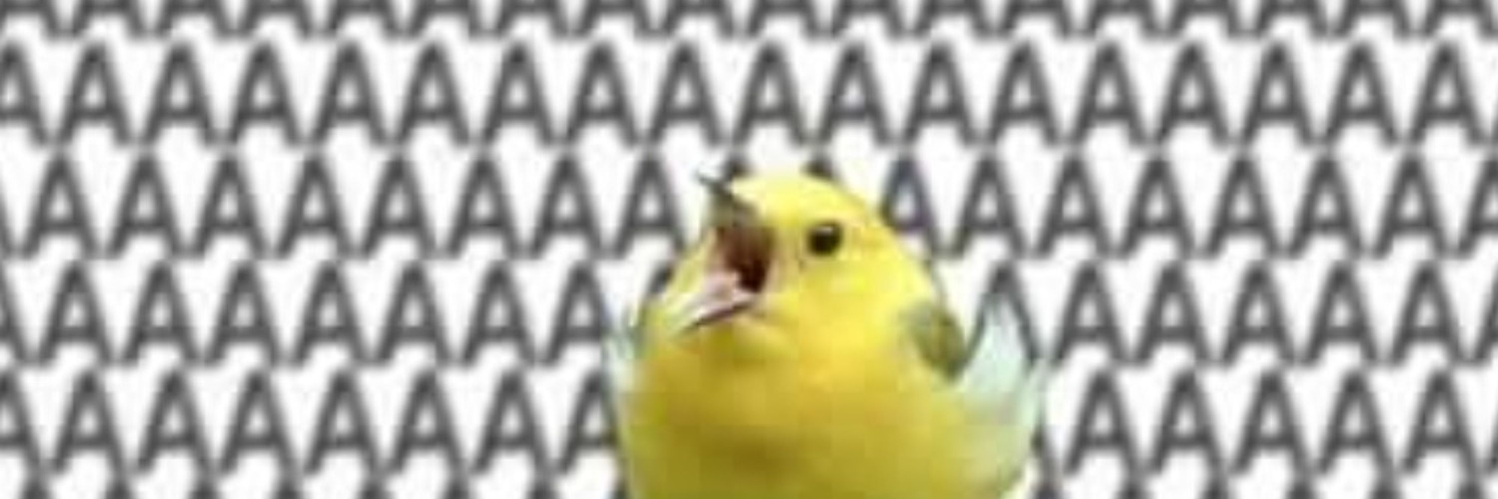판키