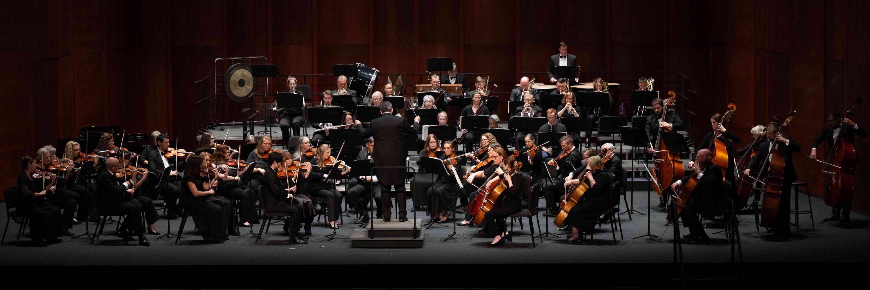 Manassas Symphony Orchestra