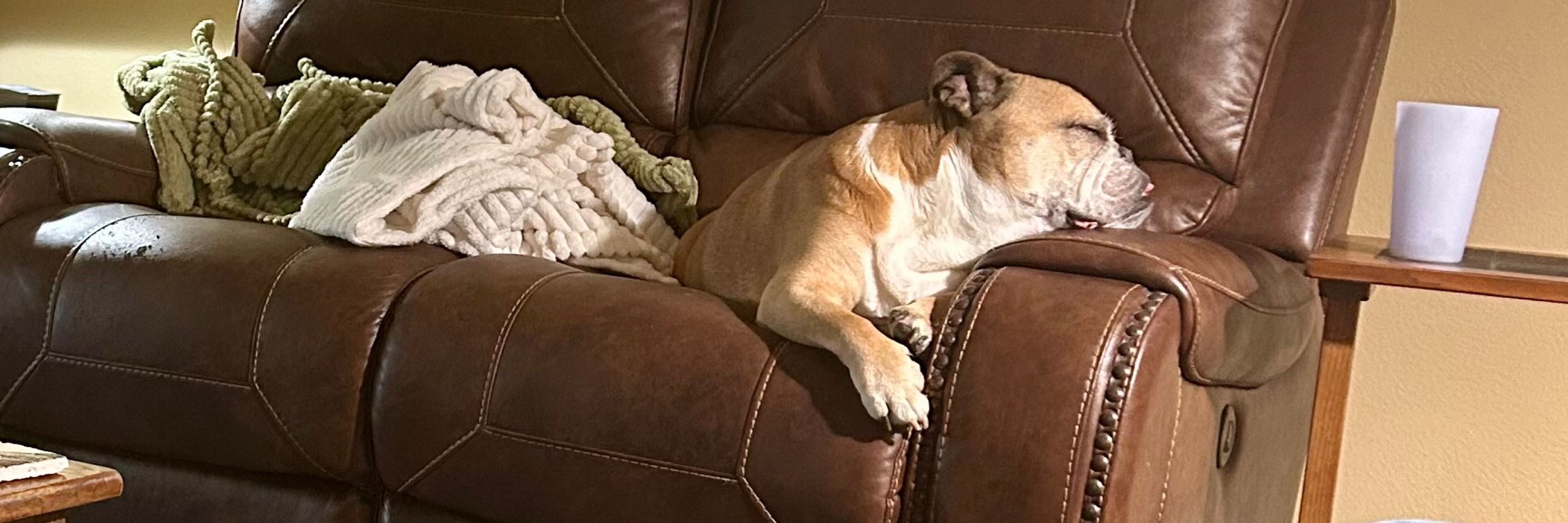 LightningBulldog