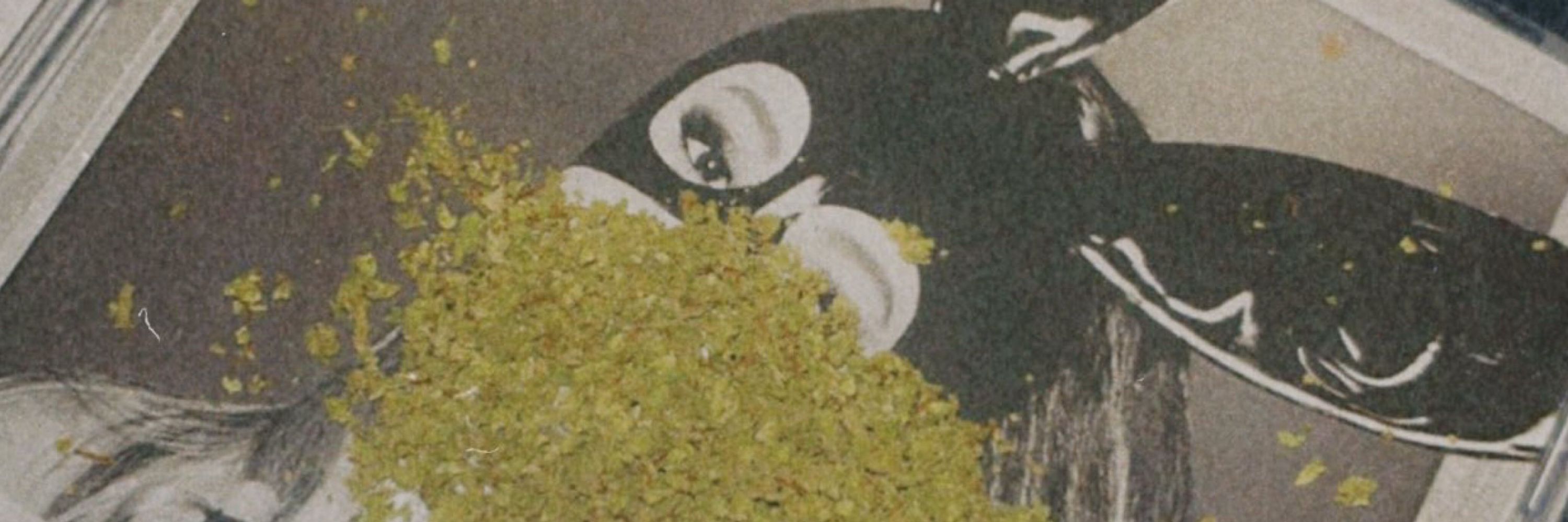 josé