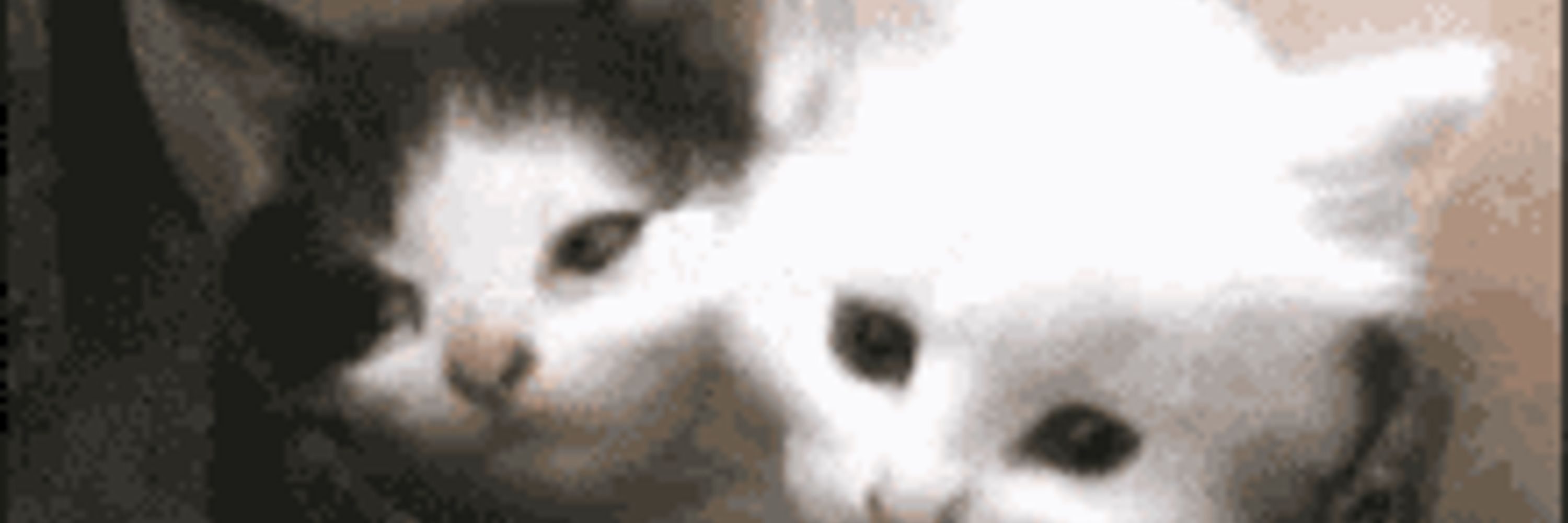 nekro