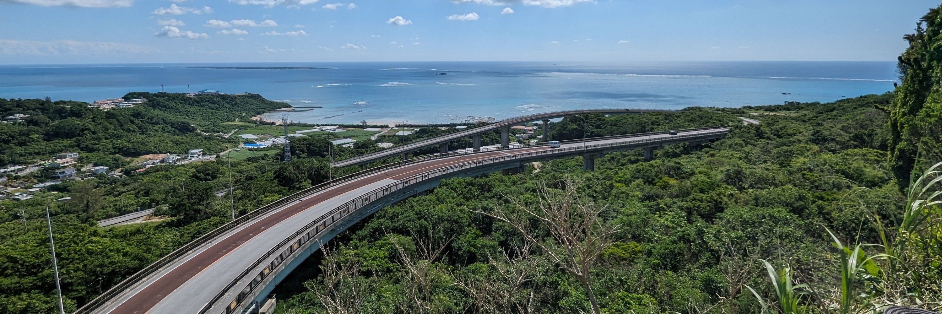 かいっきー🌴