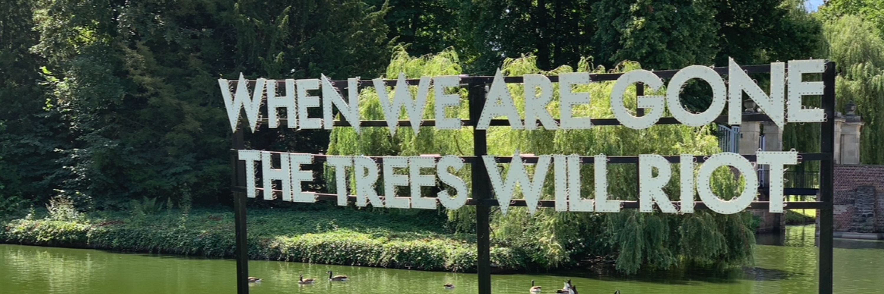 die Lesende