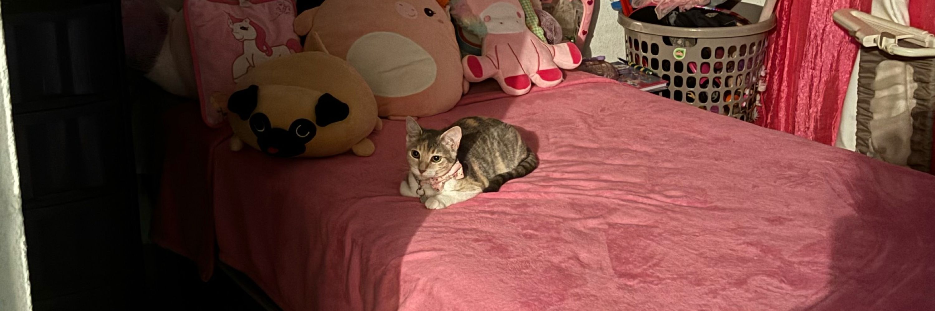 Mel