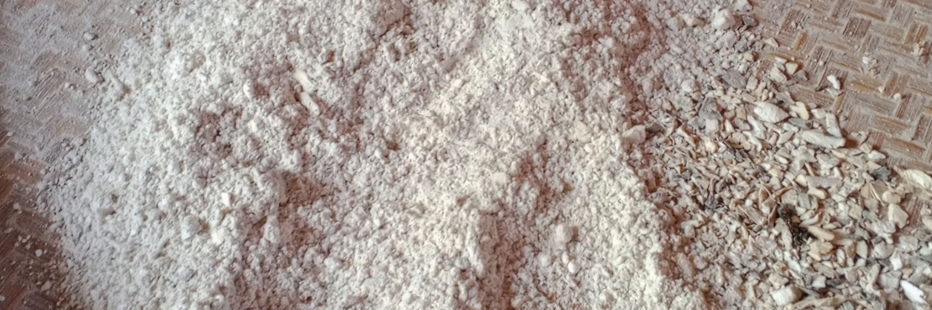 Karya
