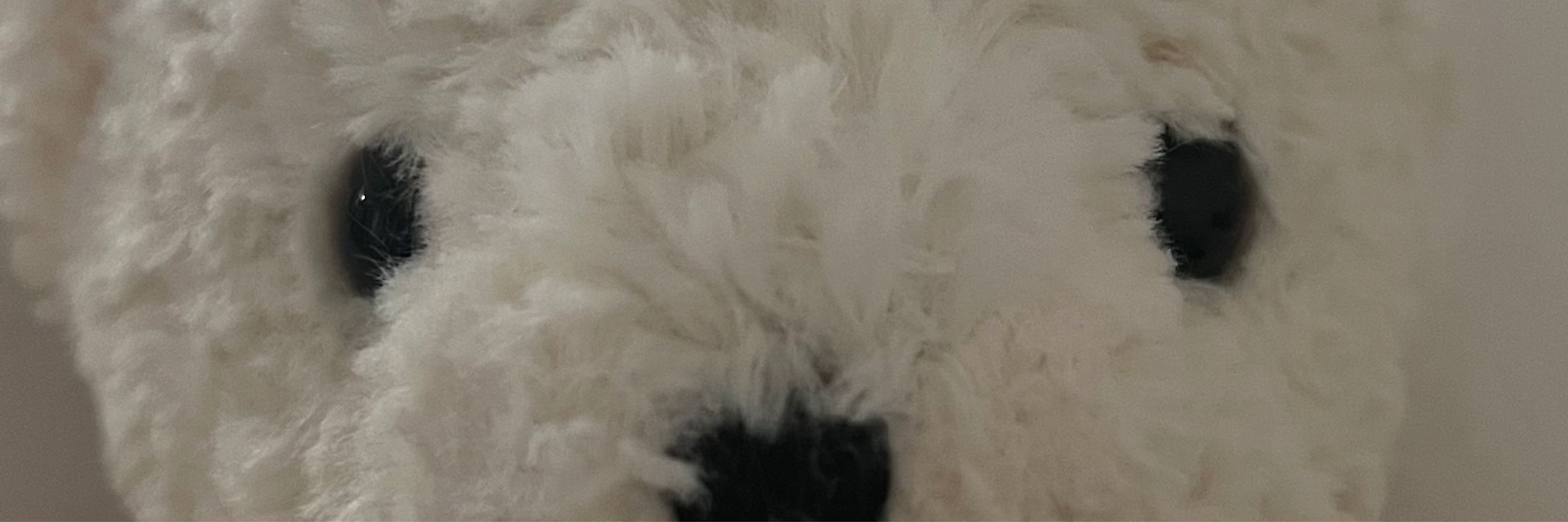 Lu