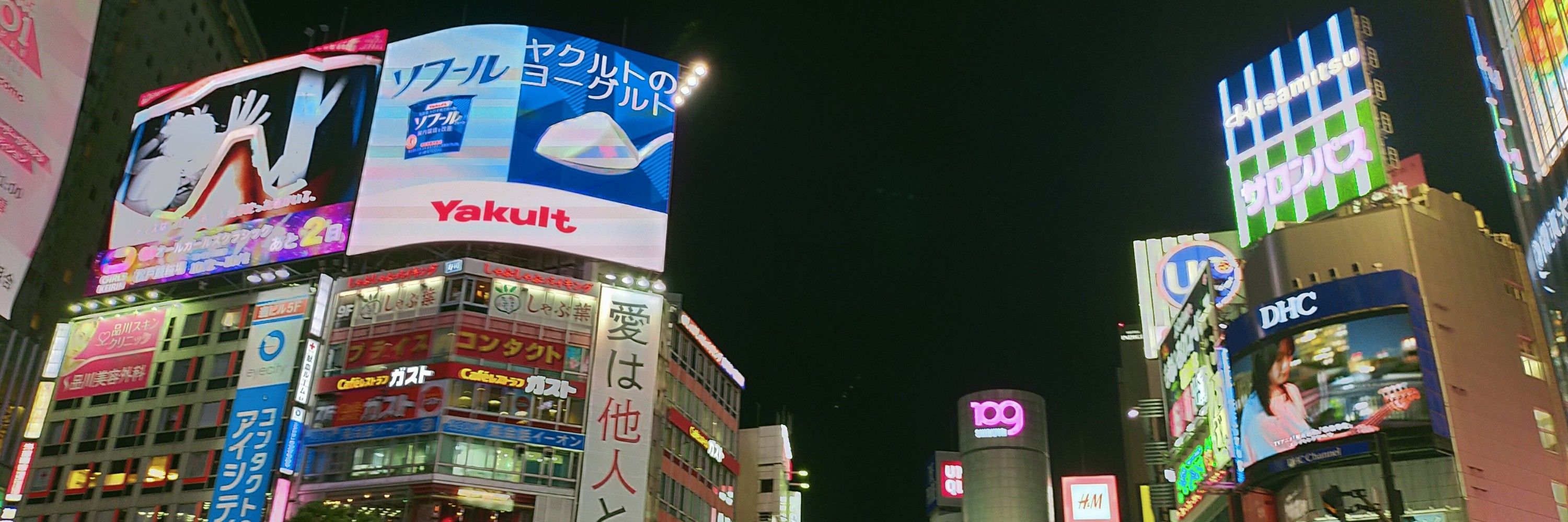 ゴーヤ