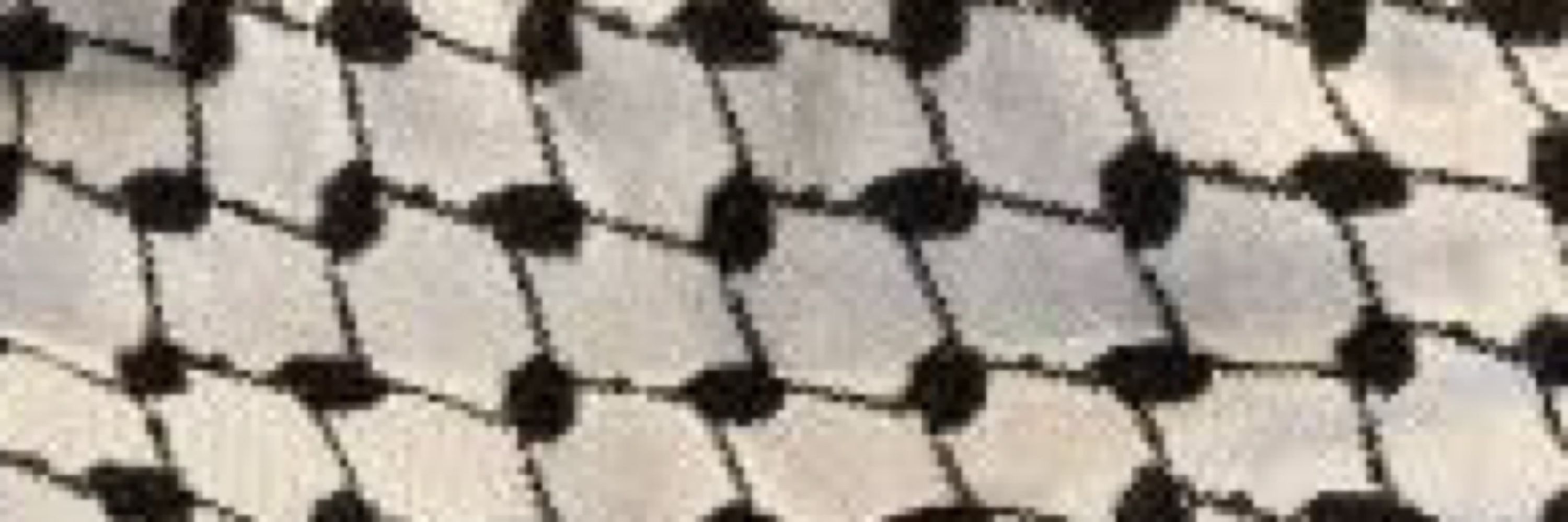 H.