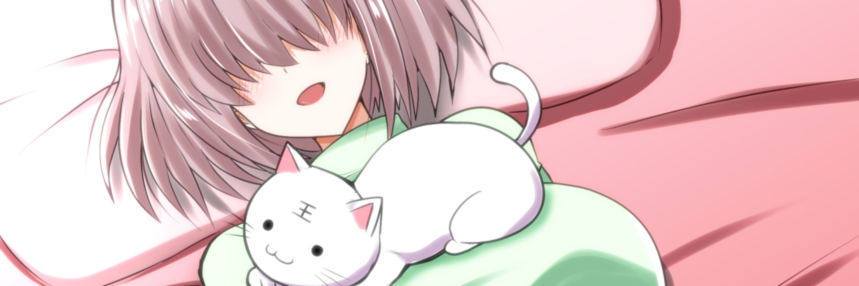銀灰色のどら猫