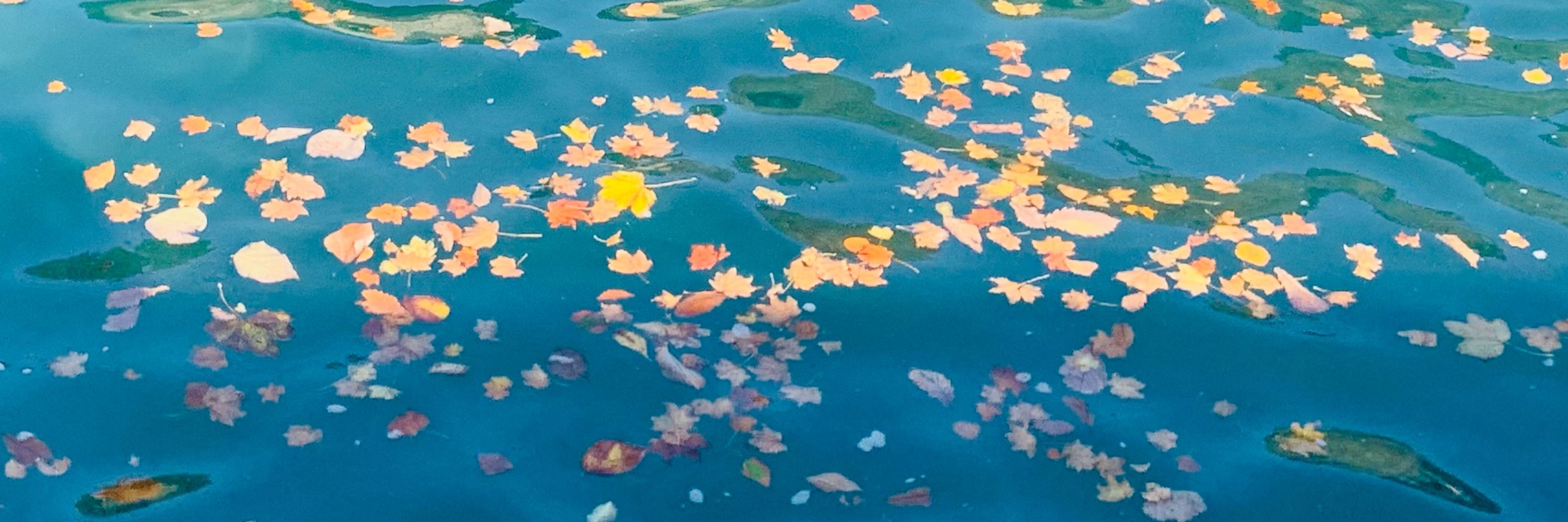八