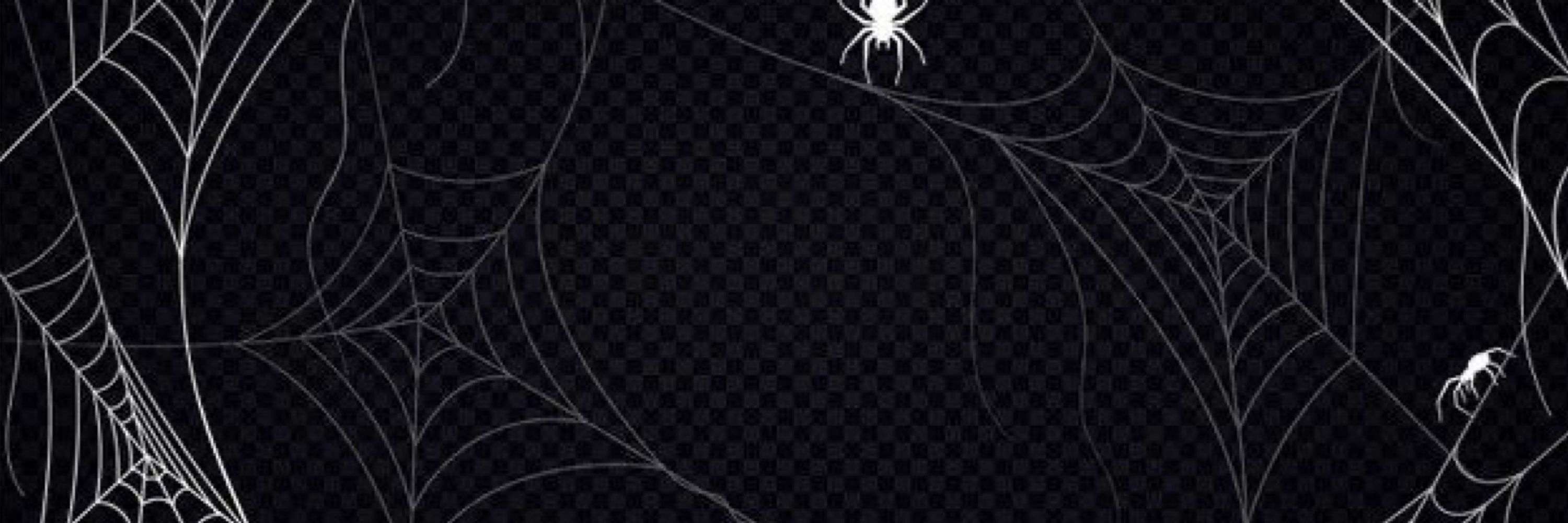 spideer 