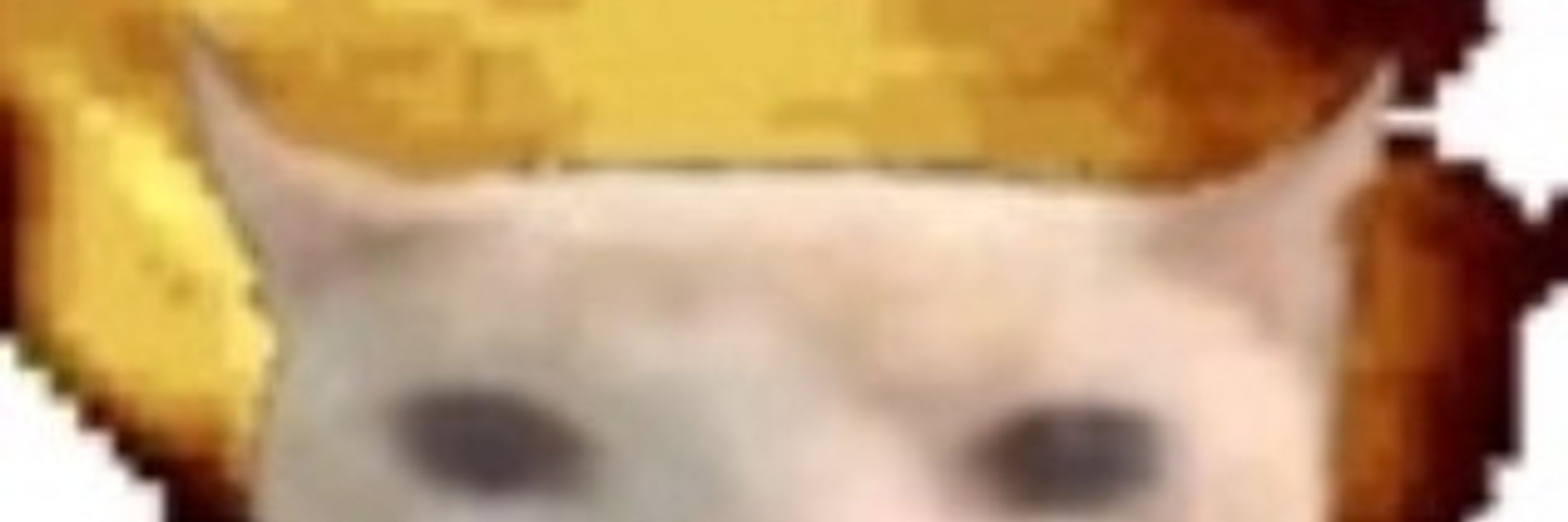 did it edit it