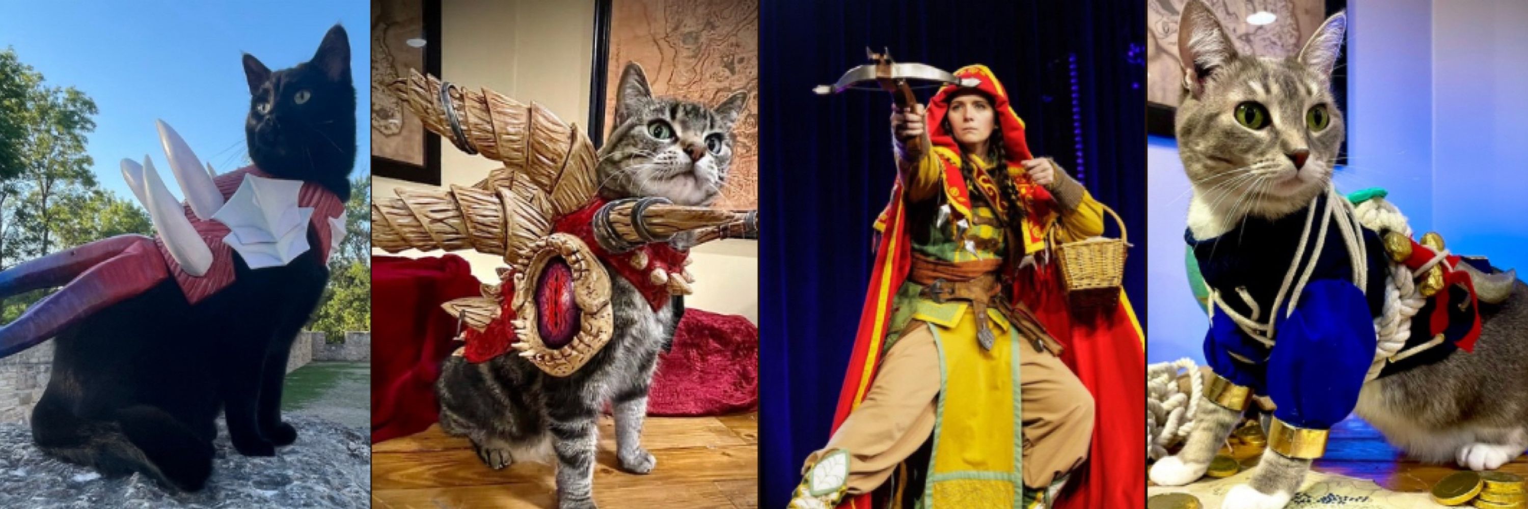 Creative Kitty Studios