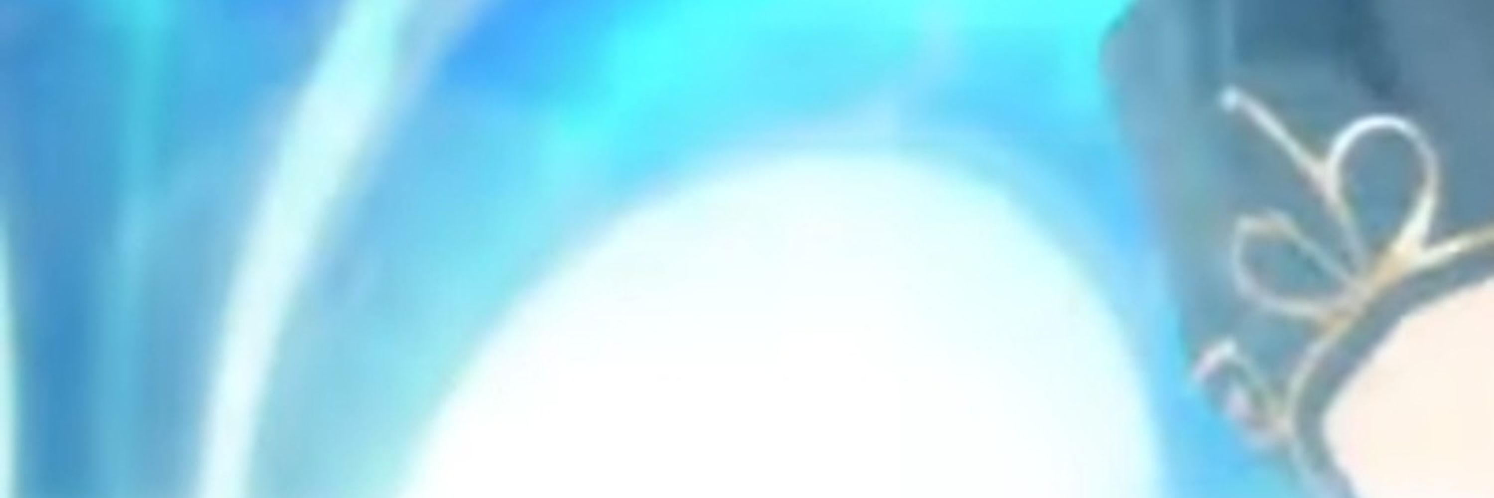 미츠