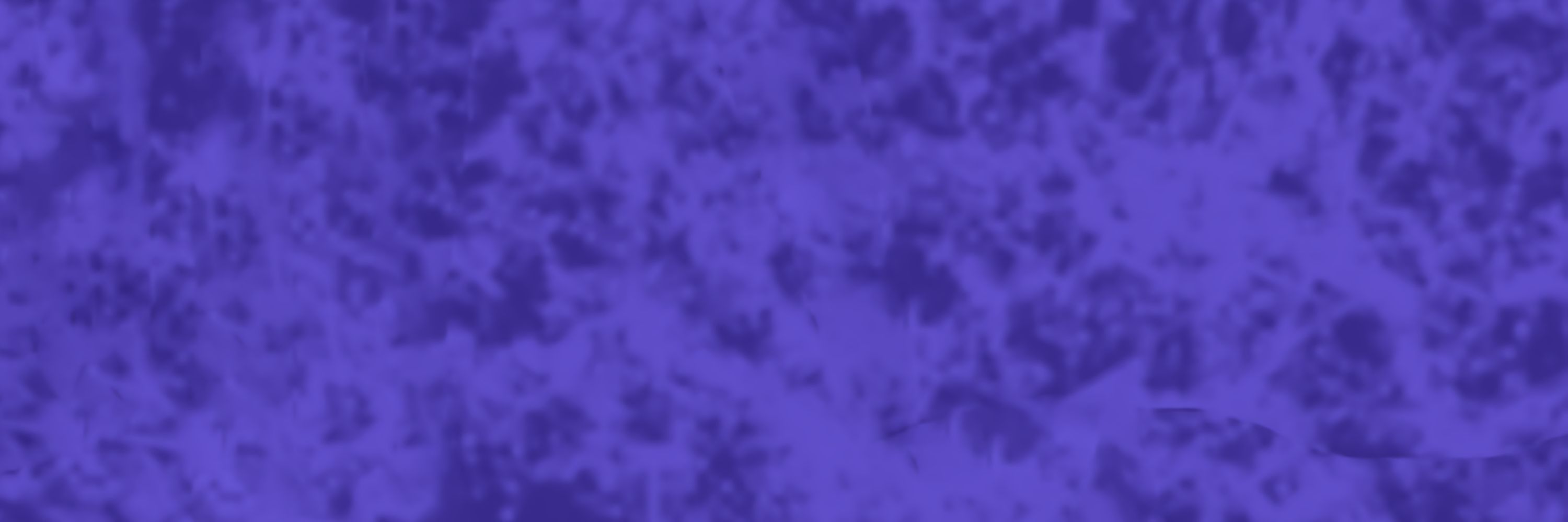 NULLderef