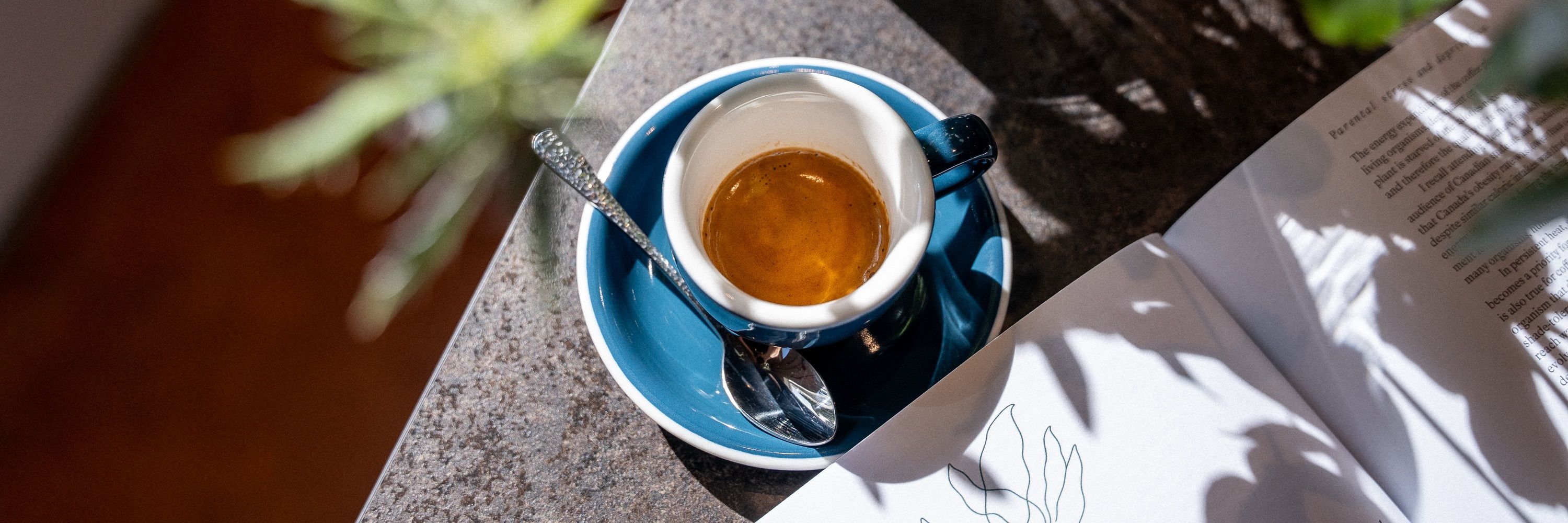 Optimist Coffee