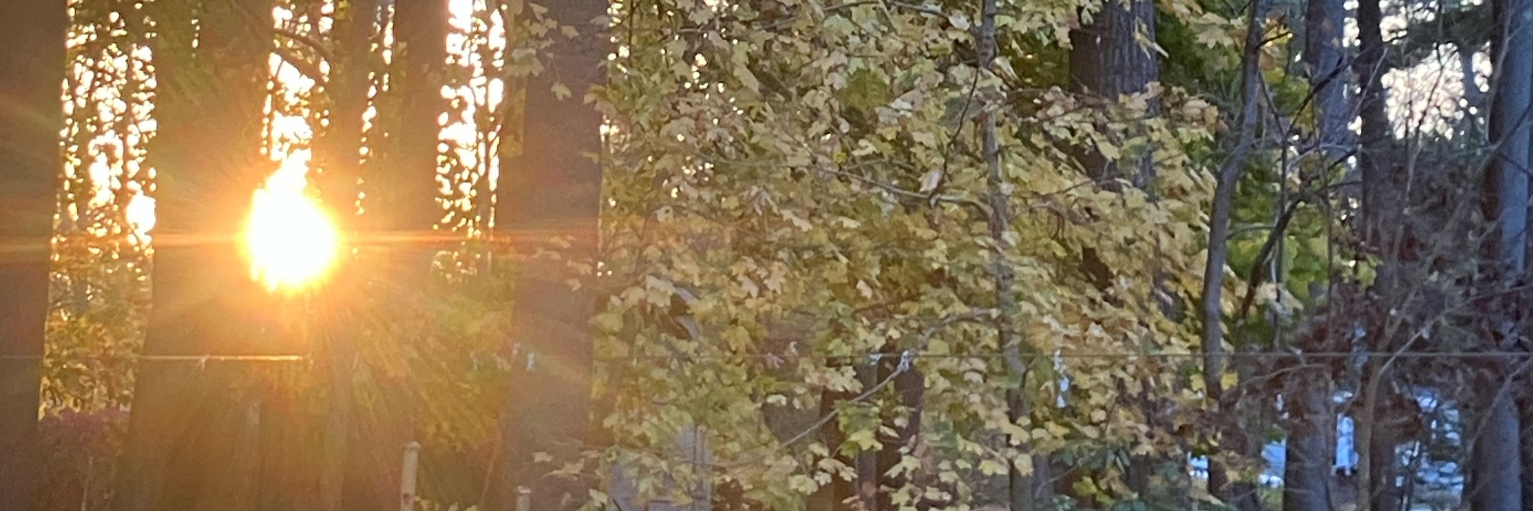 Sun Dance