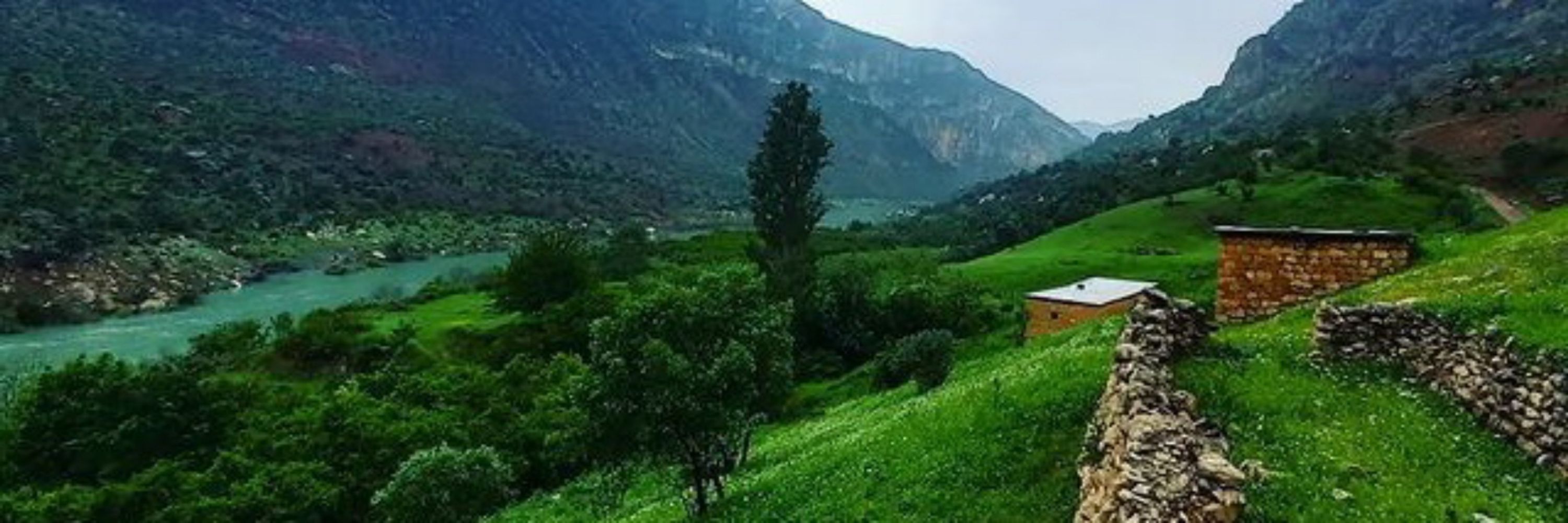 Daxıstan Vorin...