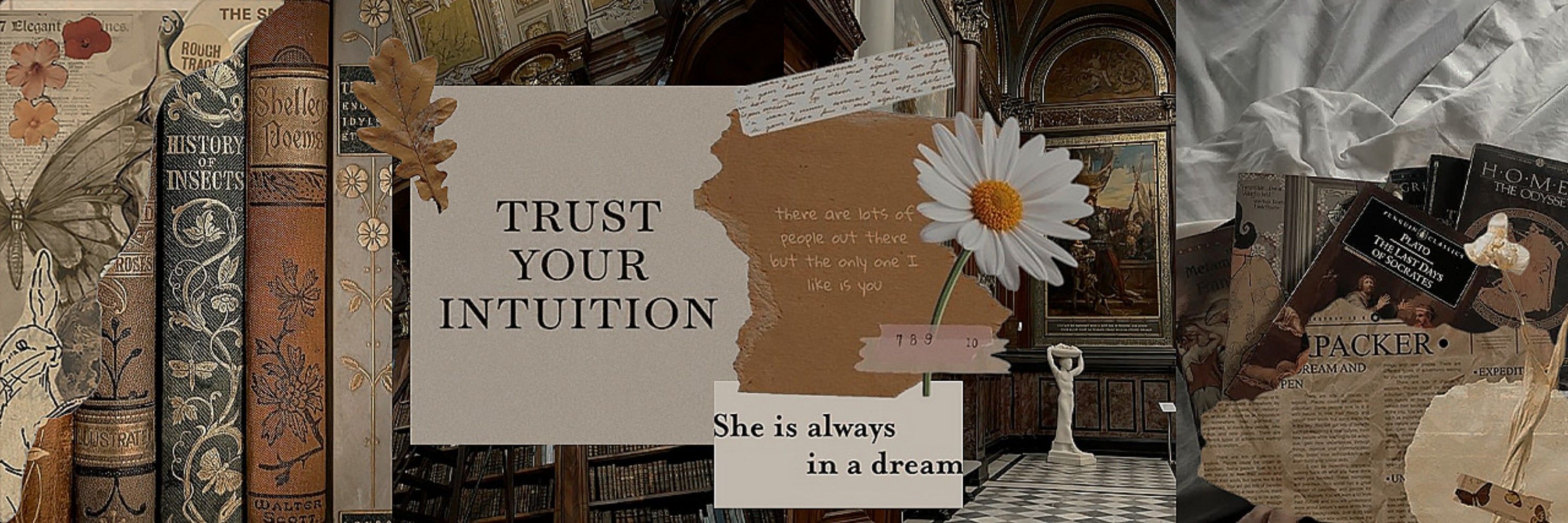 Rise ✿⁠ 