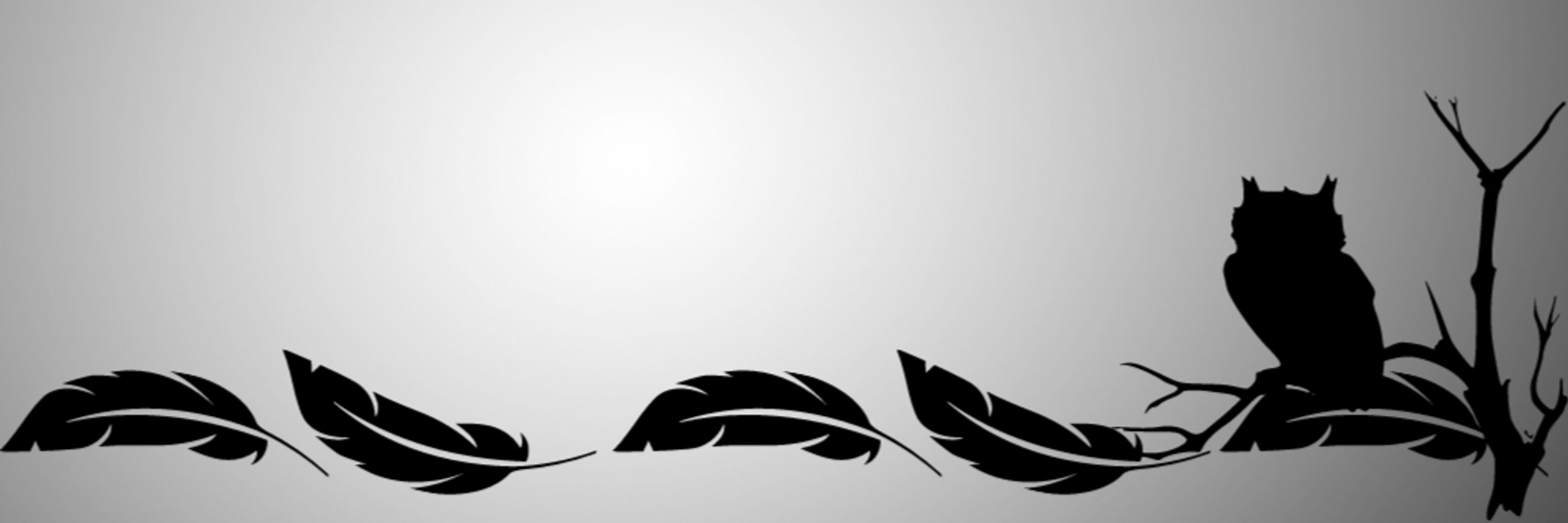 Profile banner