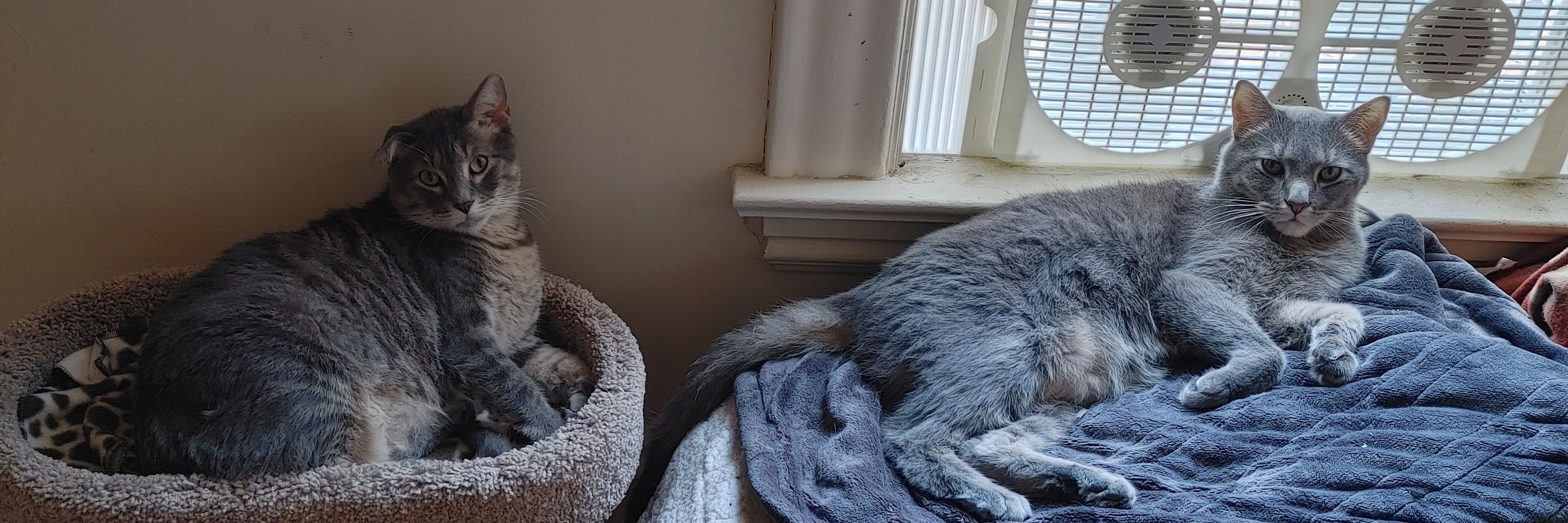 Max & Sushi 