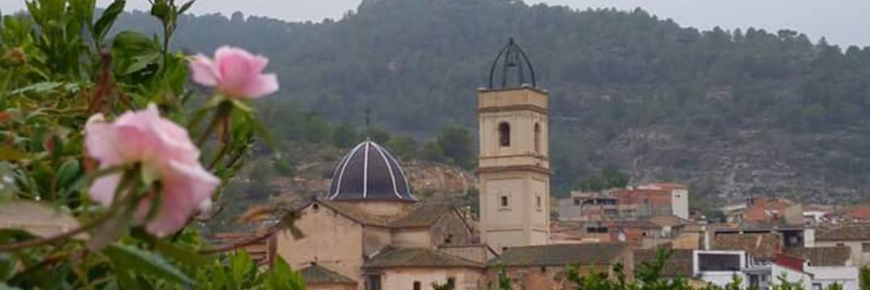 David Pons