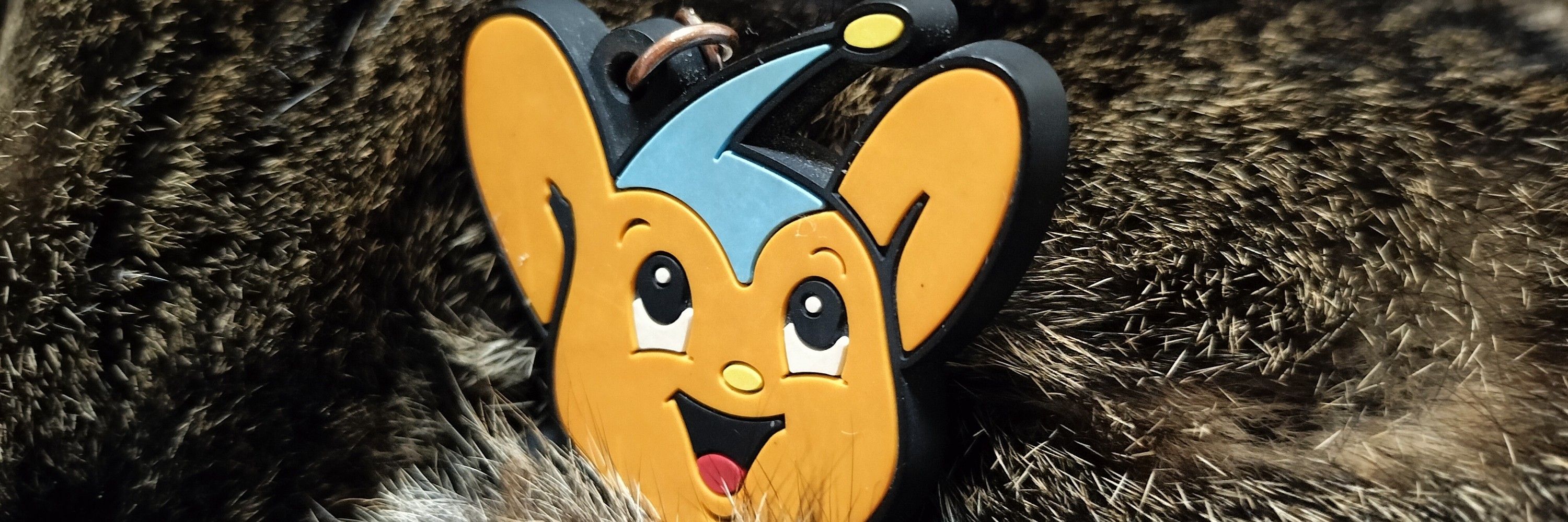 Gokinjor