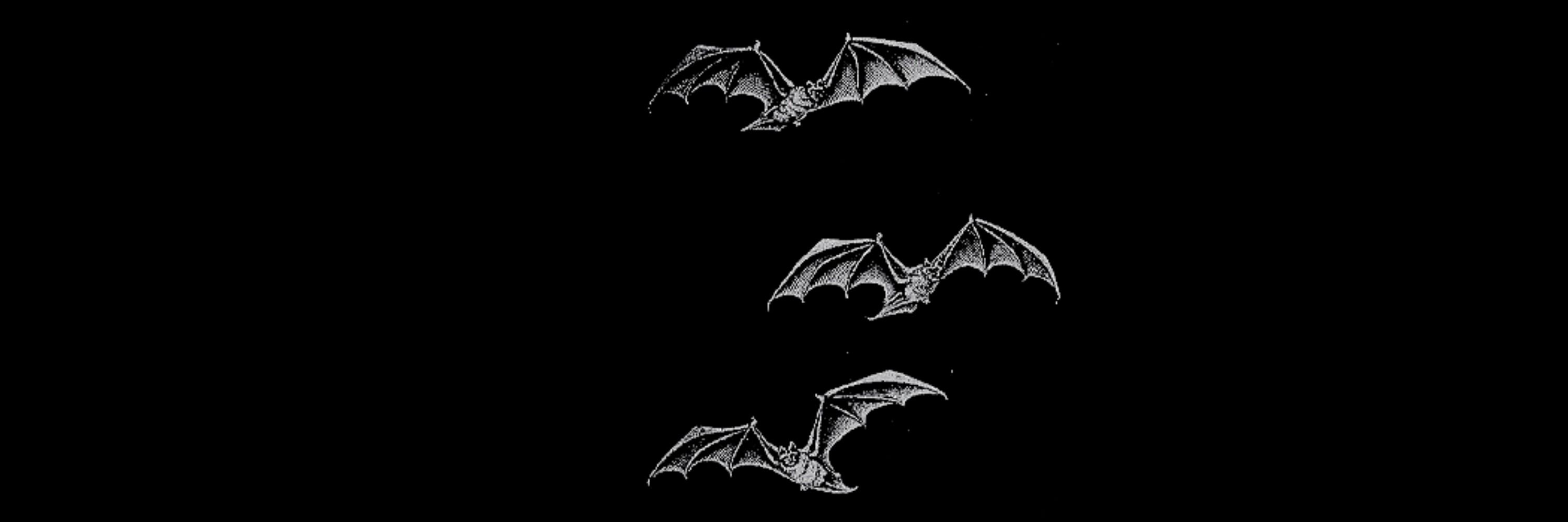 necrogardens 🦇