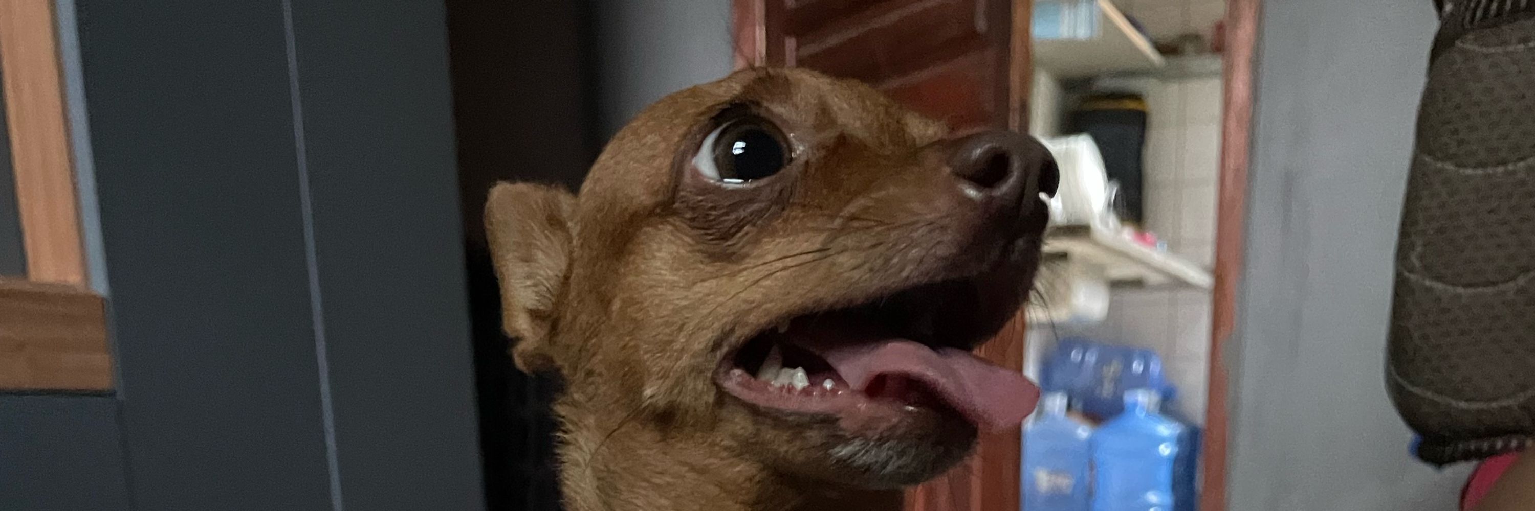 Eukauã