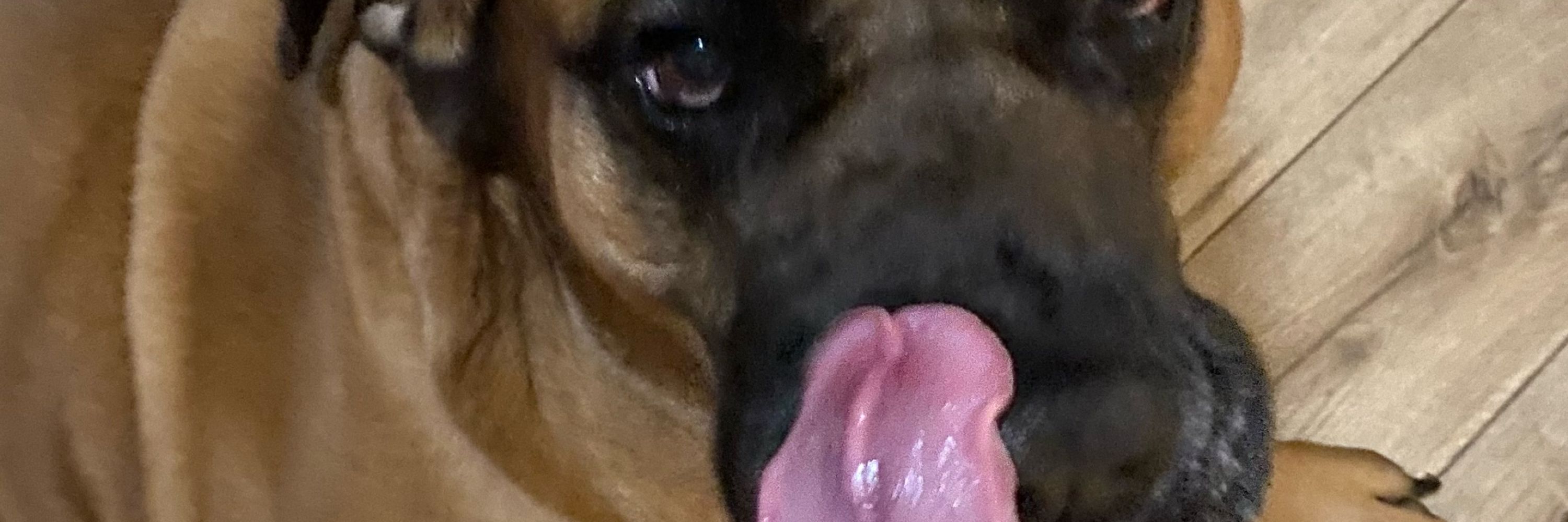 eddiemae!