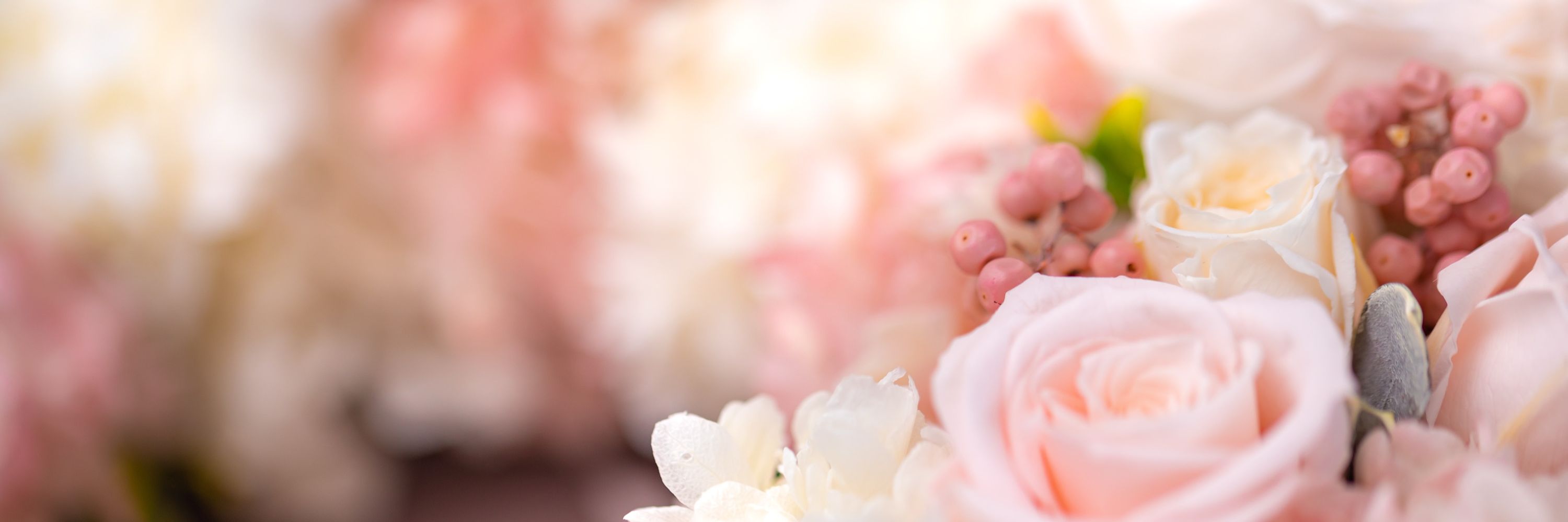 杏桜🌸