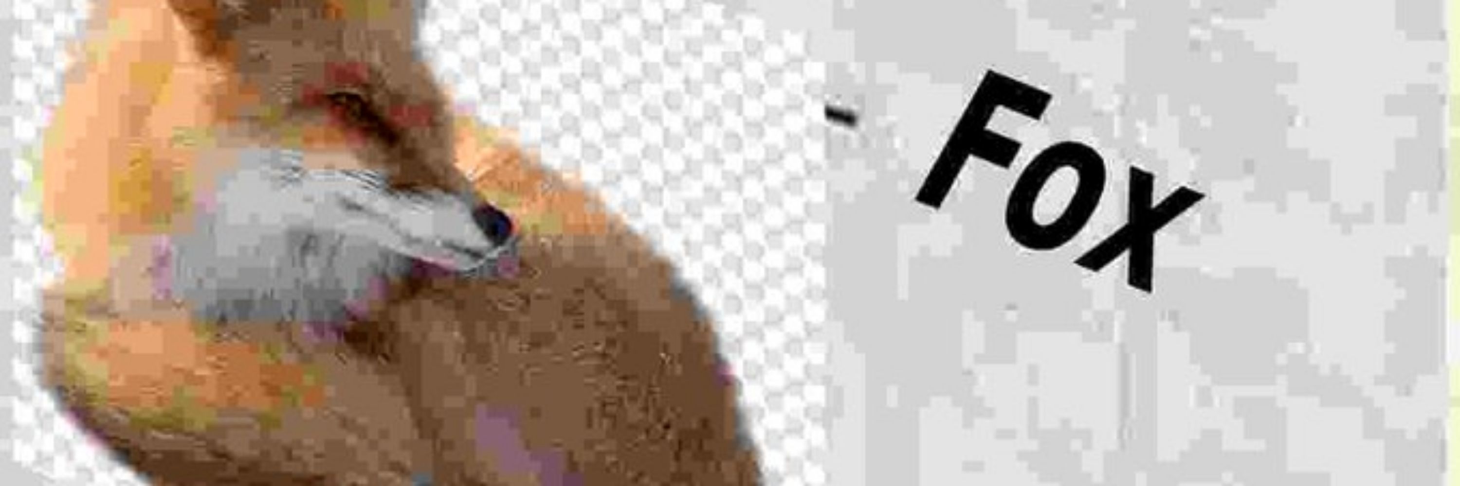 Dumbass fox (soda)