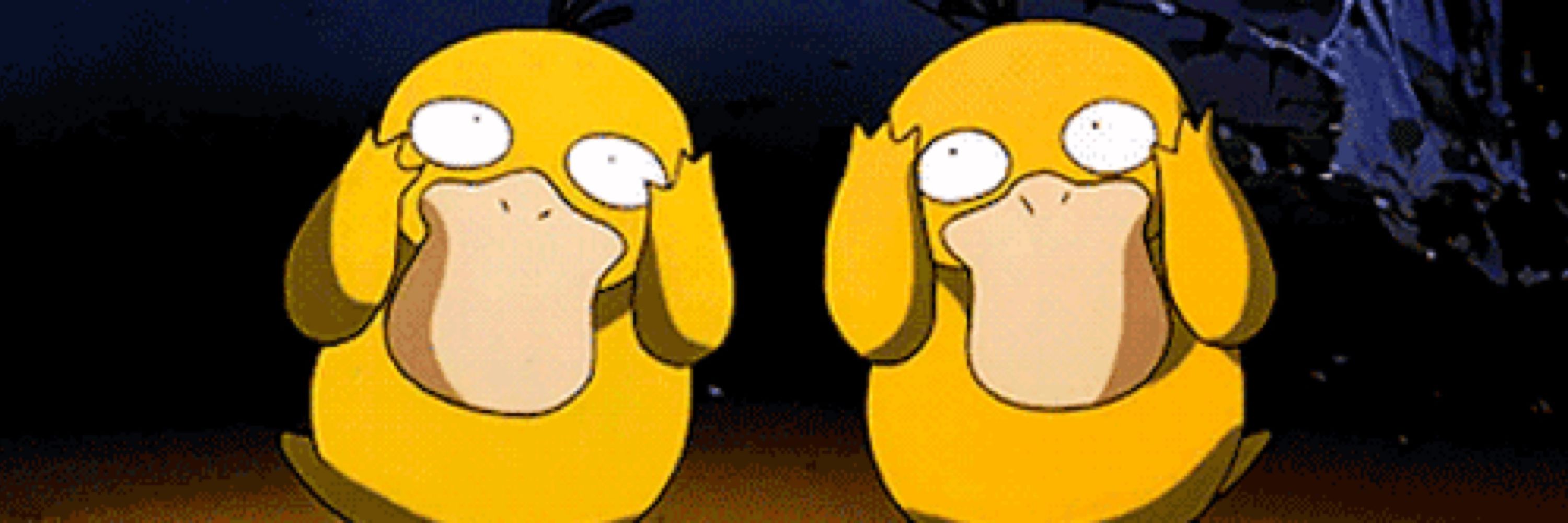 Dany Ducky